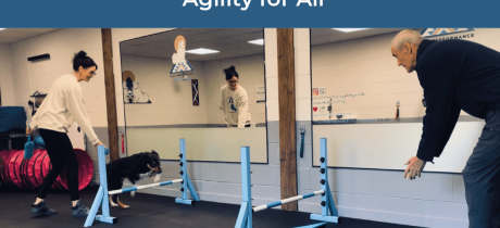 Peak Performance Dog Gym, Play and Training - Featured Image - 3