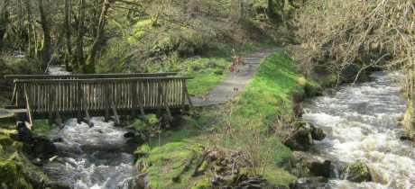 Garwnant Visitor Centre - Featured Image - 2