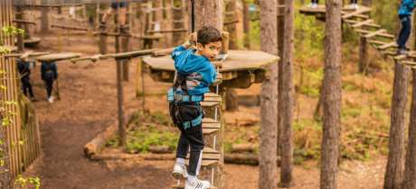 Go Ape Cannock - Featured Image - 4