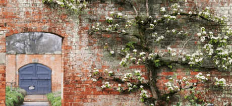 National Trust Attingham Park - Featured Image - 2