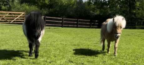 Stantons Farm - Featured Image - 3