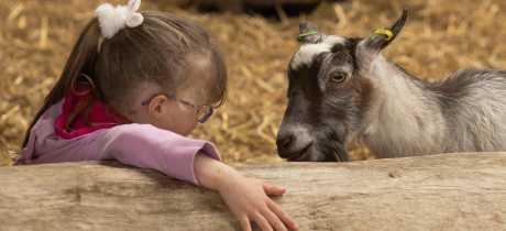 World of Country Life - Featured Image - 4