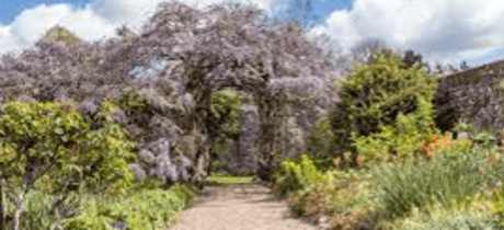 National Trust Greys Court - Featured Image - 3