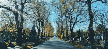 Brompton Cemetery London - Featured Image - 2