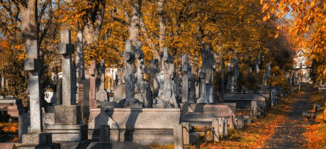 Brompton Cemetery London - Featured Image - 3