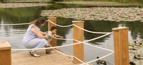 Sheffield Park and Garden - National Trust - Featured Image - 4