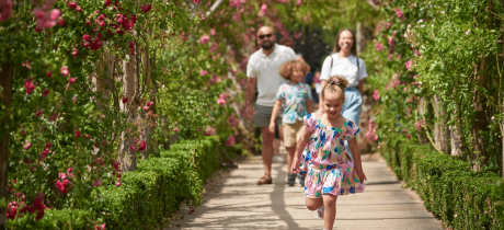 Polesden Lacey - National Trust - Featured Image - 3