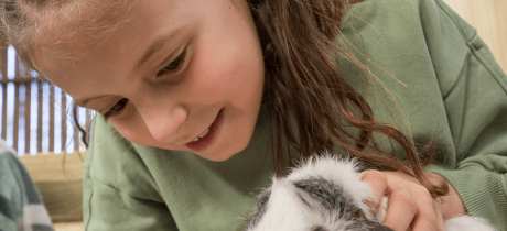 Occombe Farm - Featured Image - 4
