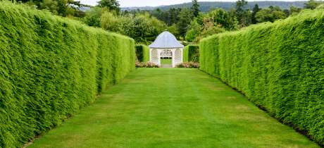 Drum Castle- Garden and Estate Aberdeen - Featured Image - 3