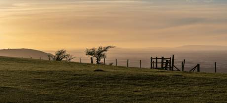 Ditchling Beacon-National Trust - Featured Image - 2