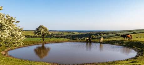 Ditchling Beacon-National Trust - Featured Image - 3