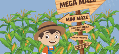 Farmer John’s Maize Maze & Pumpkin Patch - Featured Image - 3