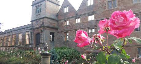 Rufford Abbey Country Park - Featured Image - 3
