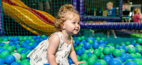 The Web Adventure Park - Featured Image - 2
