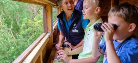 WWT Washington Wetland Centre - Featured Image - 4