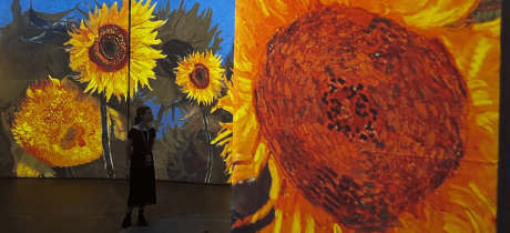 Beyond Van Gogh: The Immersive Experience - Featured Image - 3