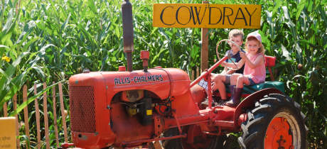 Cowdray's Maize Maze - Featured Image - 2