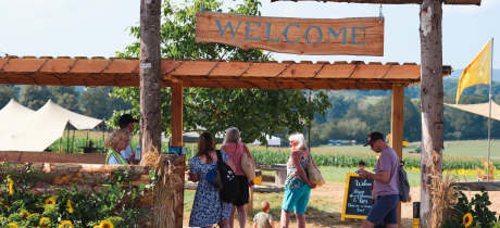 Cowdray's Maize Maze - Featured Image - 3