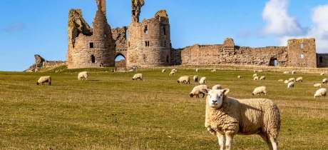 Dunstanburgh Castle - Featured Image - 3