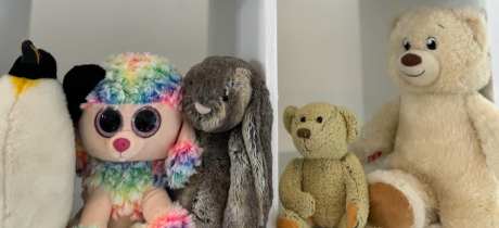 Adopt-a-Bear Experience - Featured Image - 2
