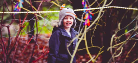Forest of Light at Beamish Hall - Featured Image - 3