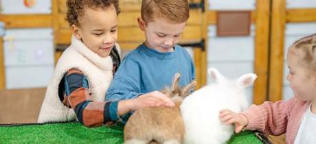 Mead Open Farm - Featured Image - 2
