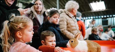 Walby Farm Park - Featured Image - 2