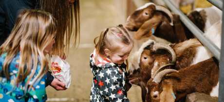 Walby Farm Park - Featured Image - 3