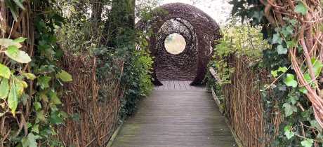 WWT Arundel Wetland Centre - Featured Image - 3