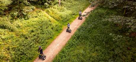 Go Ape Thetford - Featured Image - 4