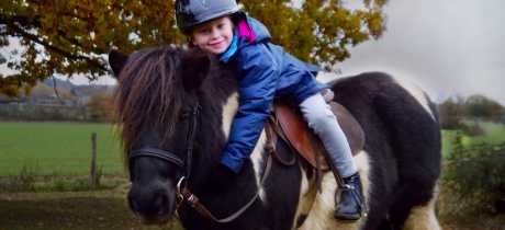 Shetland Pony Club - Featured Image - 3