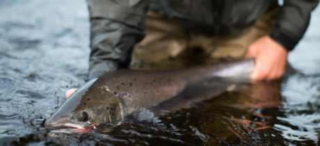 You Fish Scotland - Featured Image - 2