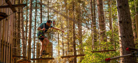 Go Ape Wyre - Featured Image - 3