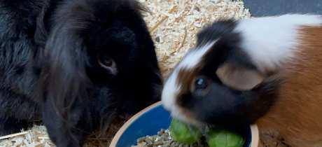 Blackberry Farm - Featured Image - 3