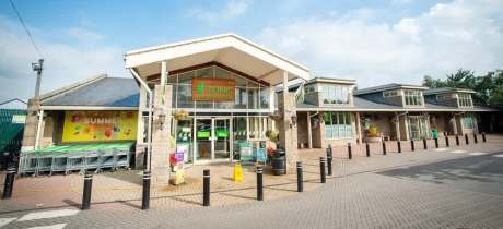 Grass Hoppers at Tingley Garden Centre - Featured Image - 2