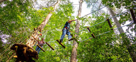 Go Ape Alice Holt - Featured Image - 4