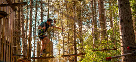 Go Ape Bracknell - Featured Image - 3