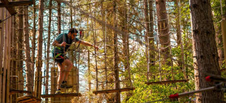 Go Ape Thetford - Featured Image - 3