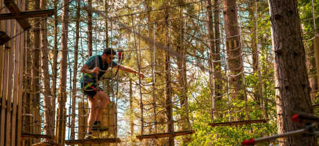 Go Ape Cannock - Featured Image - 3