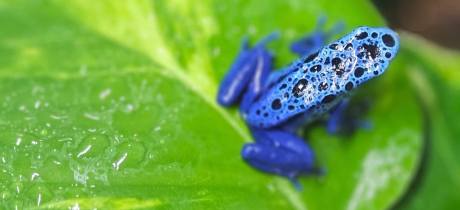 Tropical World Roundhay - Featured Image - 3