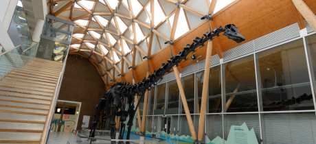 Herbert Art Gallery and Museum - Featured Image - 2