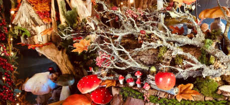 Dreamery Gardens - Featured Image - 2
