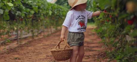 Manor Farm Fruits - Featured Image - 4