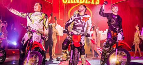 Gandeys Circus - Featured Image - 3