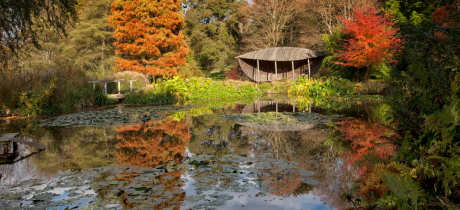 Sir Harold Hillier Gardens - Featured Image - 3