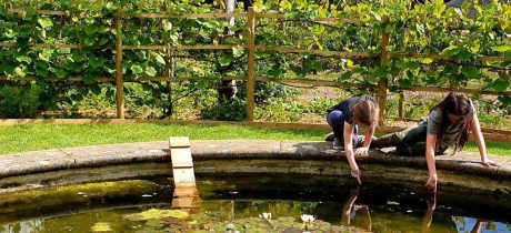 Painswick Rococo Garden - Featured Image - 3