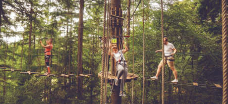 Go Ape Matfen - Featured Image - 4