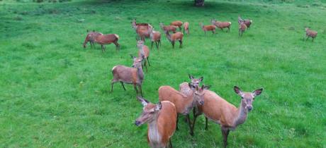 Hopetoun House - Featured Image - 3