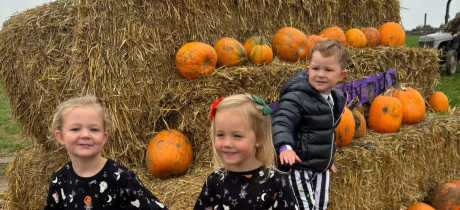 THE PUMPKIN FIELD- Green Barn Farm - Featured Image - 4