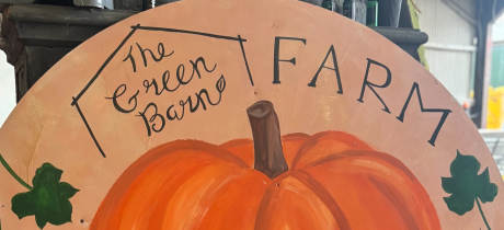 THE PUMPKIN FIELD- Green Barn Farm - Featured Image - 2